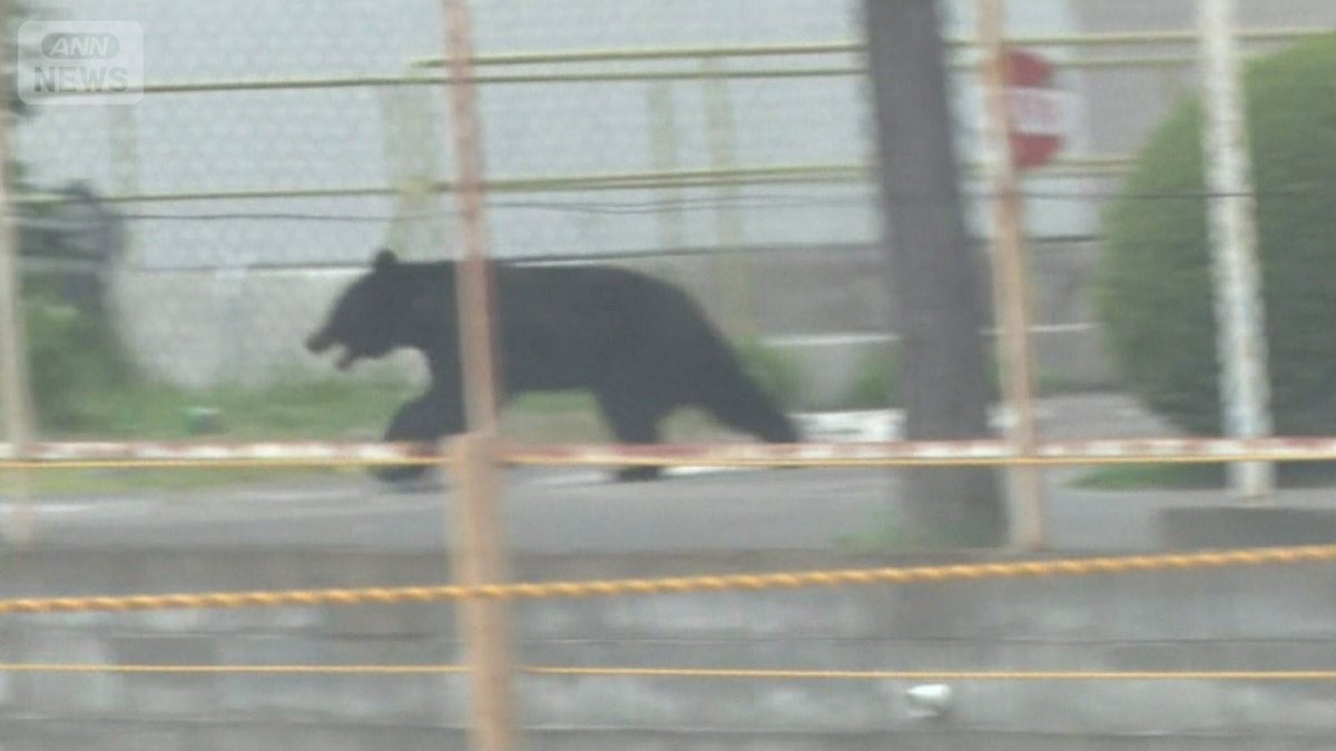 4人襲ったクマは高い知能？ 蛇口ひねり水飲む姿 カギ開け、窓も