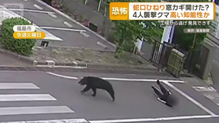 4人を相次いで襲ったクマ