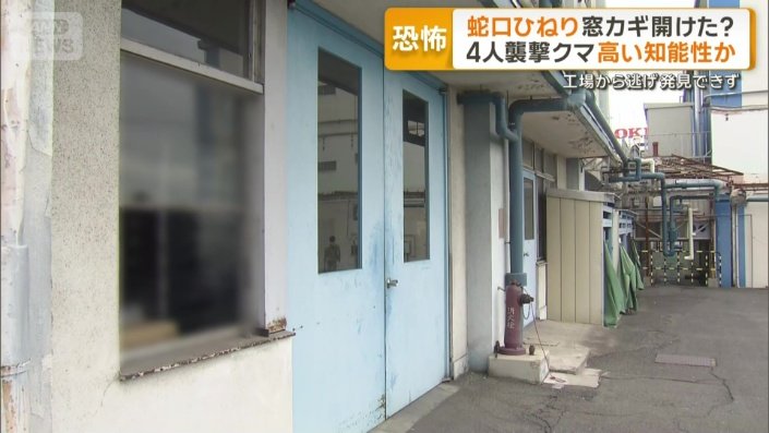 ガラスを割って突進して出てきた窓