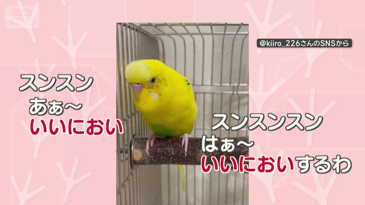 「いいにおい〜」を連呼!