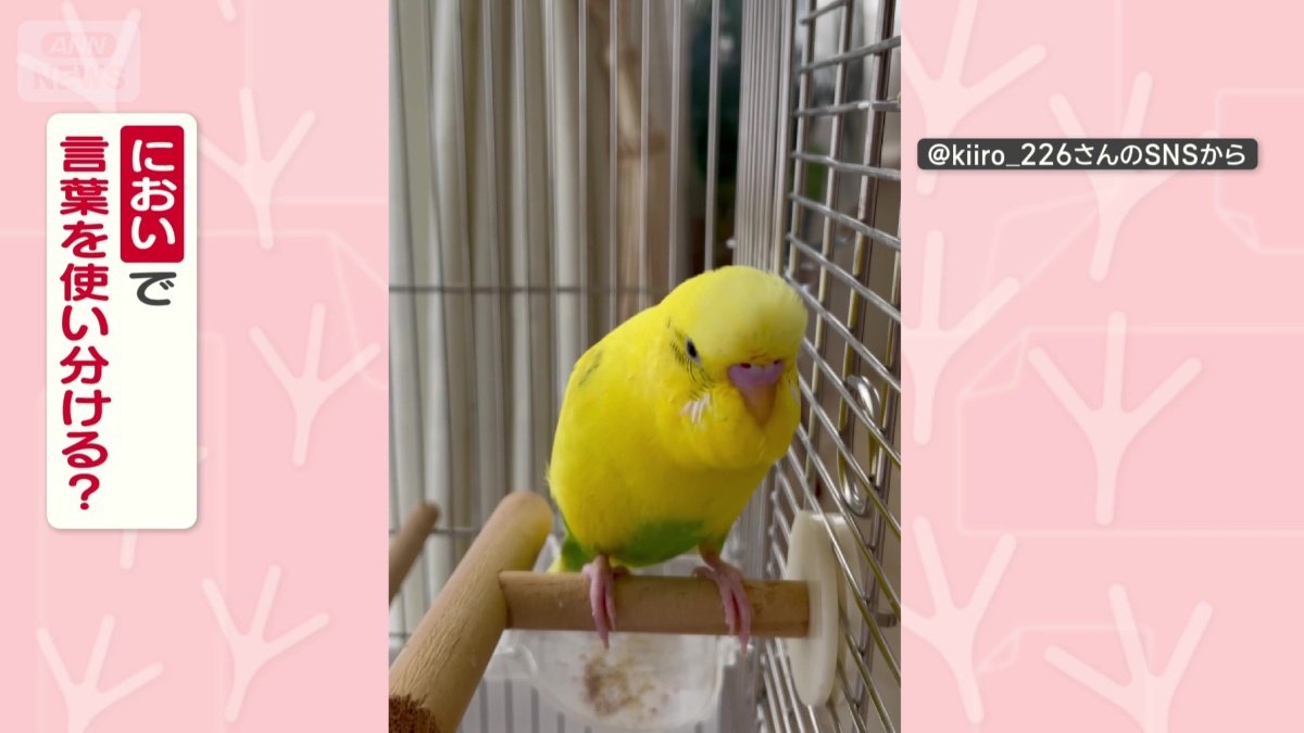 においをかぎ分けてる?