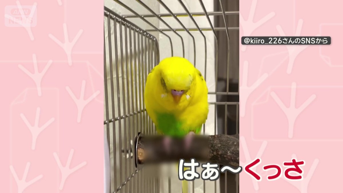 「くっさ!」においに文句?