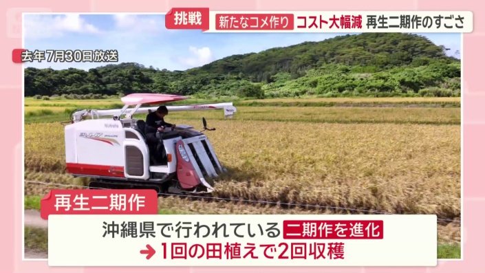 再生二期作とは
