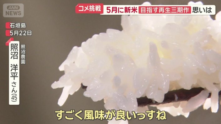 一期目の新米