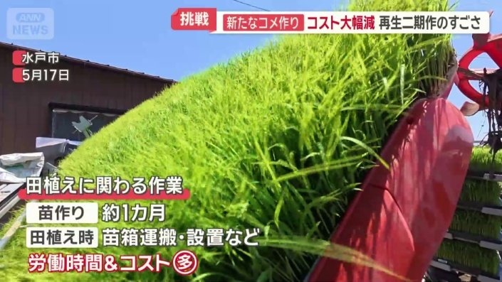 田植えは労働時間とコストがかかる