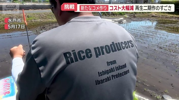 ライスプロデューサー