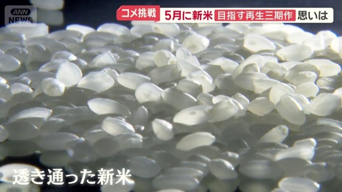 高温障害なし