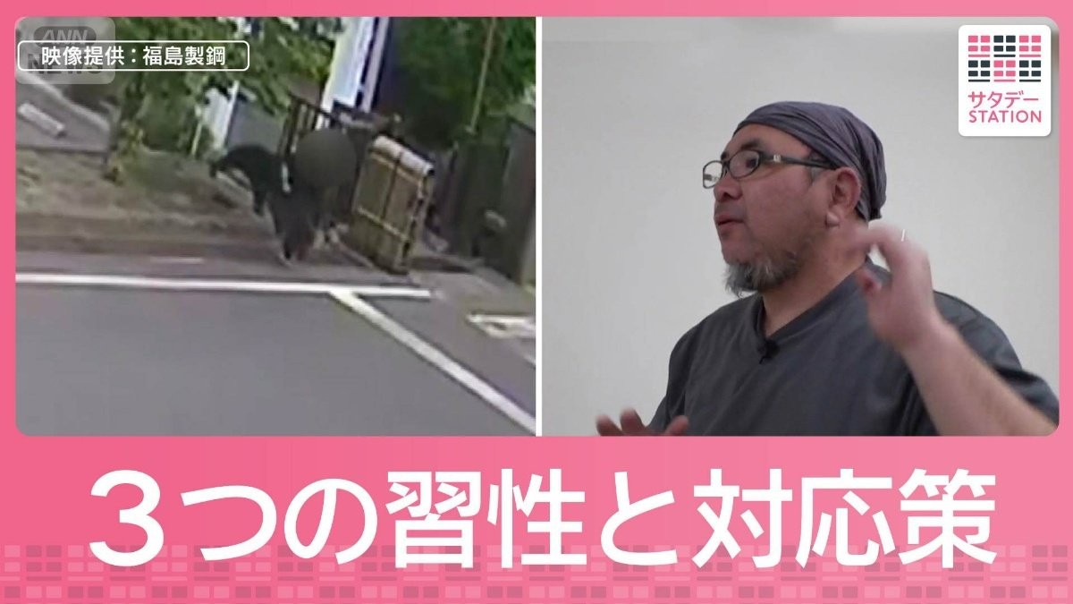 【映像検証】クマ襲撃の瞬間映像からみえた“3つの習性”と“とるべき行動”とは