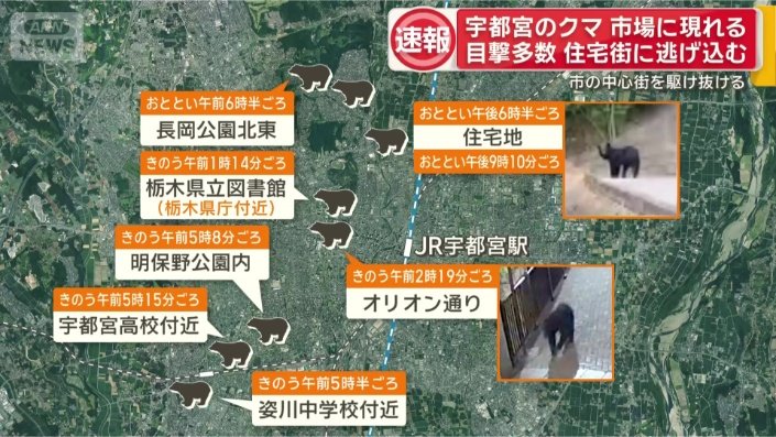 目撃情報