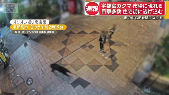 宇都宮市 オリオン通り商店街
