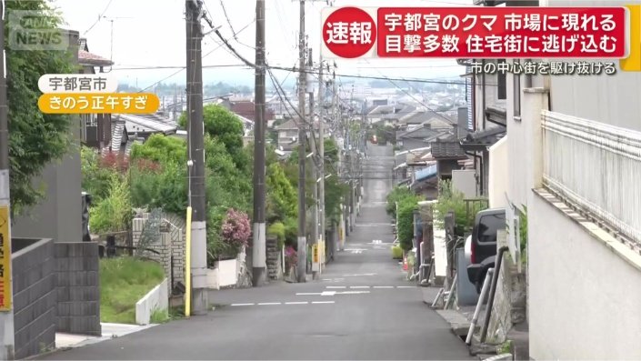 住宅街のど真ん中に出没