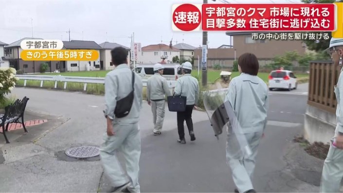 クマの捜索