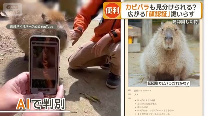 顔全体の特徴を捉えAIで判別