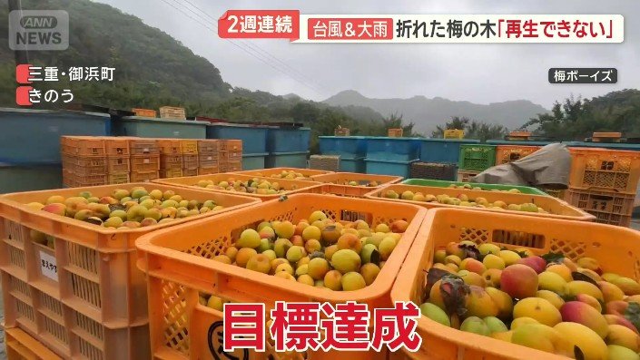 目標の100ケースを達成