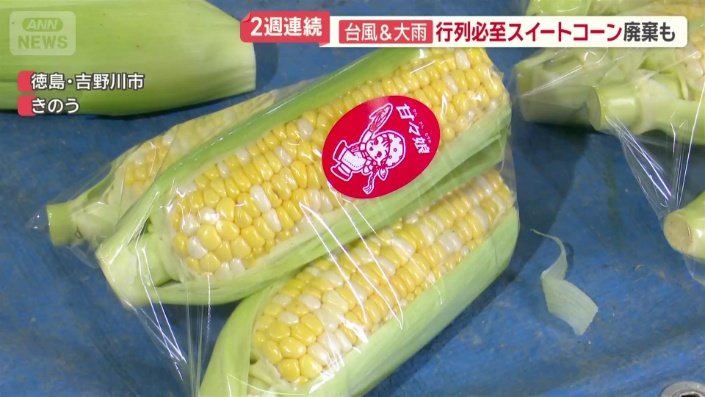 特産品「スイートコーン」