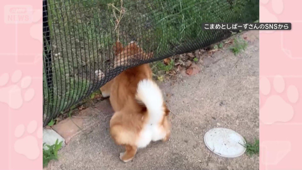 急いで体を戻す