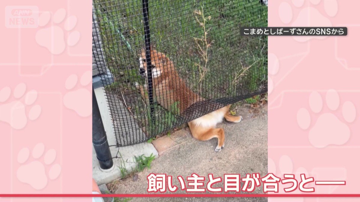 目が合った！