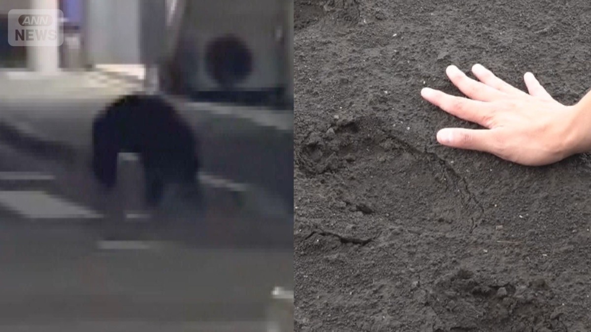 きょうも市街地に　宇都宮でクマ目撃相次ぐ　住宅街に残る“痕跡”