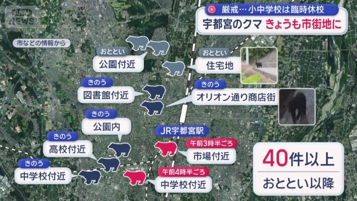目撃情報は6日以降だけで40件以上