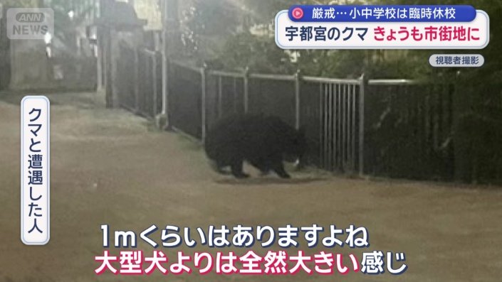 「大型犬よりは全然大きい感じ」