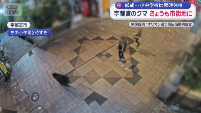 突如現れたクマが2人の前を横切る