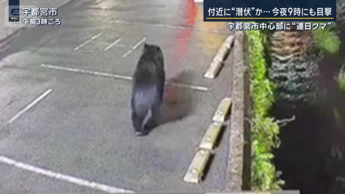 宇都宮市中央卸売市場の近く