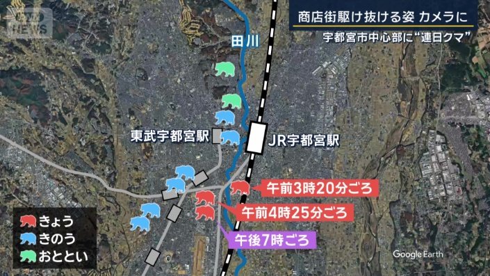 クマの目撃情報