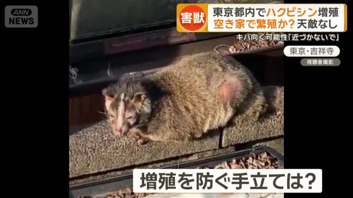 増殖を防ぐ手立ては?