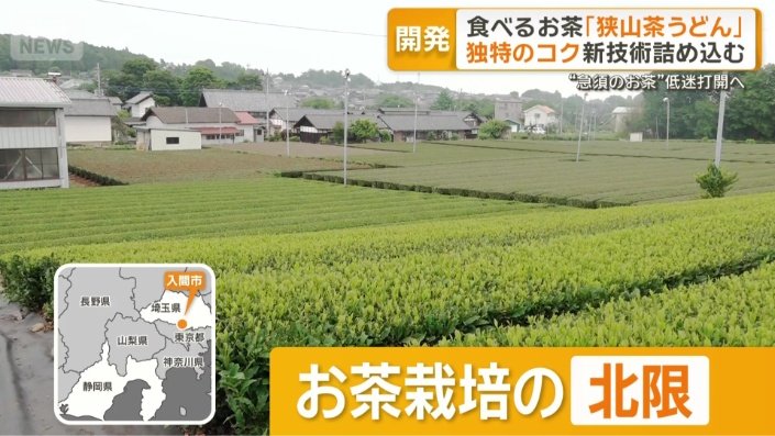 狭山茶