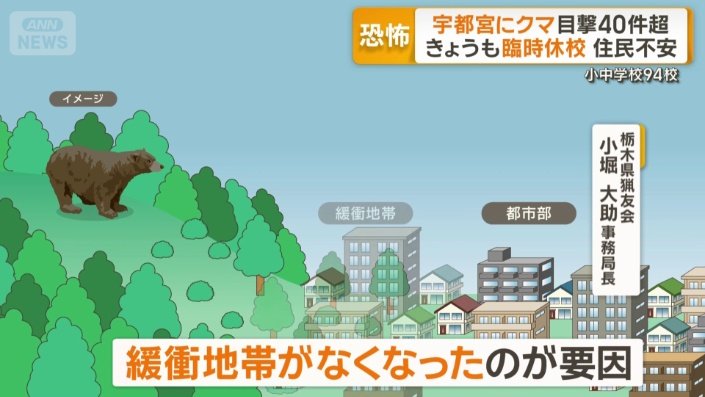 なぜ都市部にもクマ?