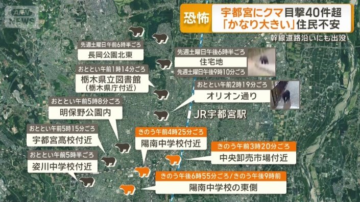 目撃情報