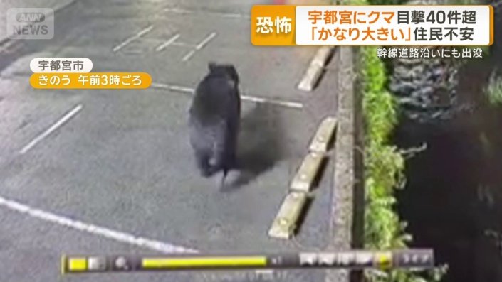 宇都宮市中央卸売市場の近く
