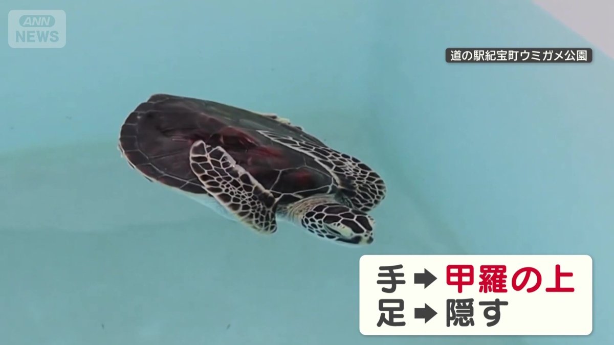 独特なポーズ！