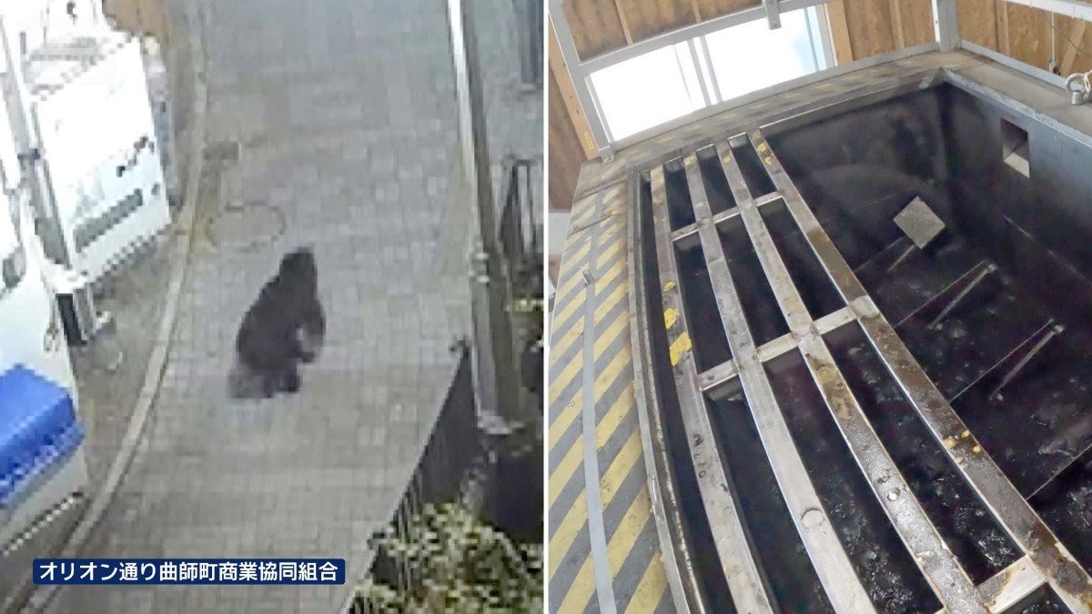今年も全国各地でクマ出没　駆除後にも問題　北海道でハンターの負担軽減する施設