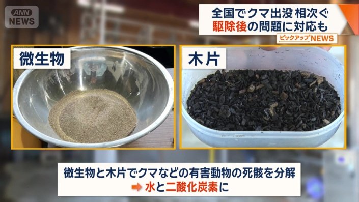 最終的には水と二酸化炭素に変える