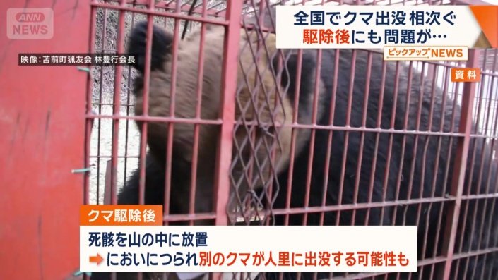 ハンターは2〜3時間かけ解体作業を行い廃棄する
