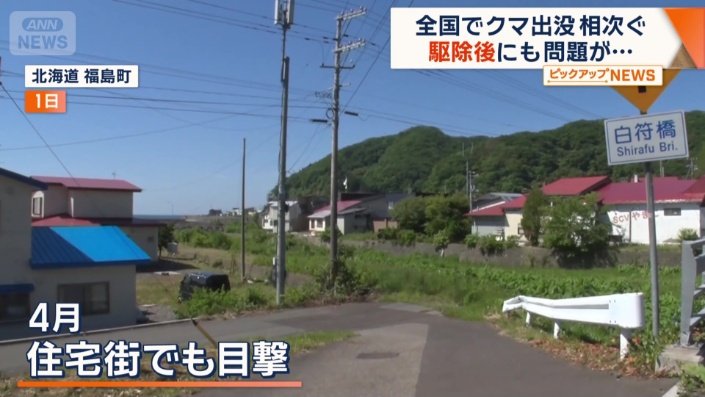 北海道南部の福島町では4月、住宅街でも目撃