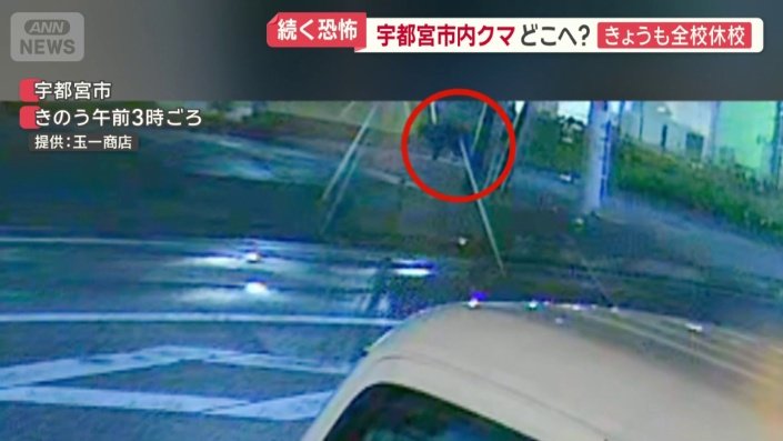 クマ（8日）