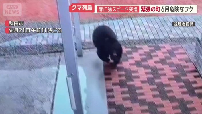 このあと扉に突進