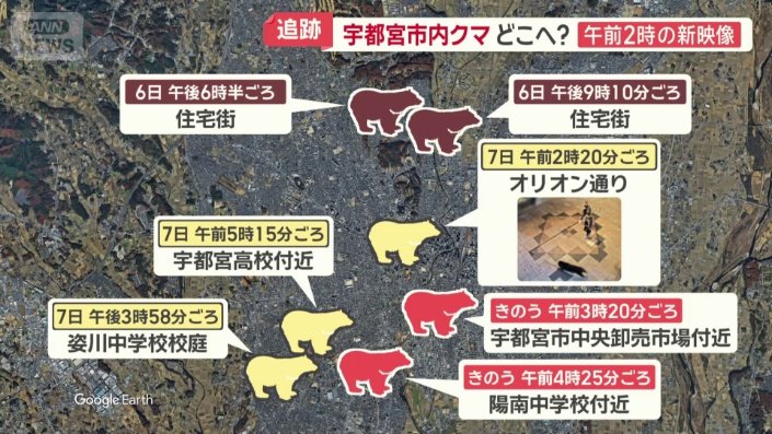 目撃情報