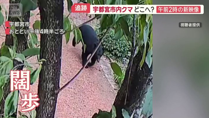 住宅敷地内にクマが侵入