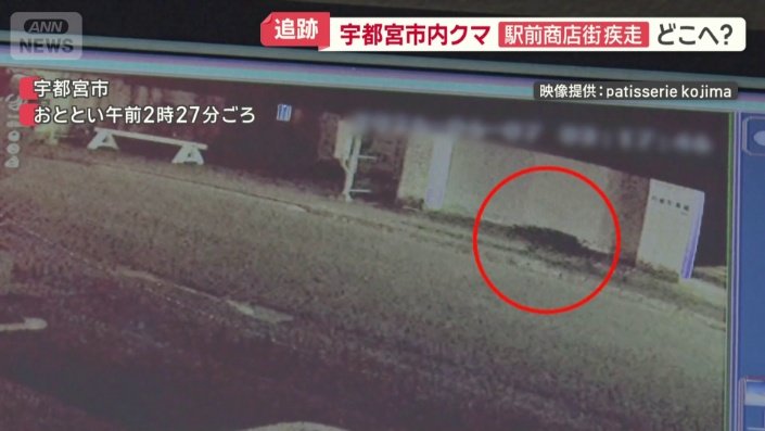 防犯カメラが姿を捉えた