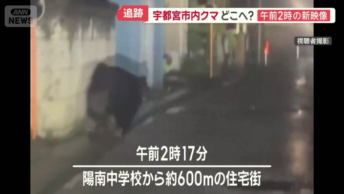 細い路地を走っていく