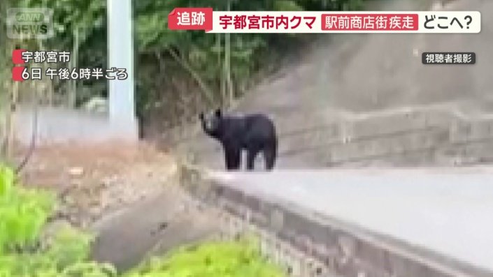 クマ（6日）