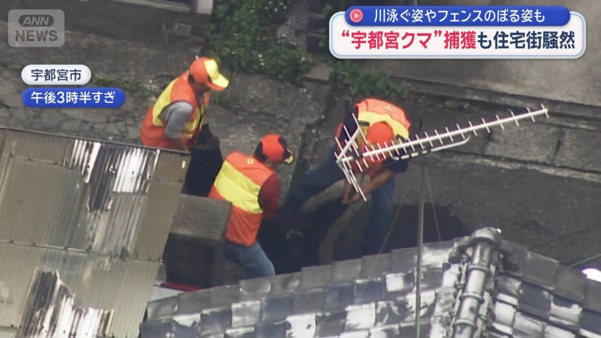 “宇都宮クマ”捕獲の瞬間　2頭以上いる恐れで住民不安