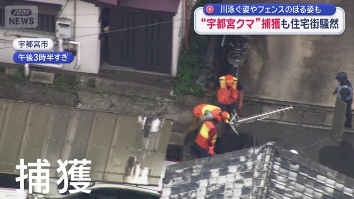 栃木県宇都宮市でクマが捕獲された