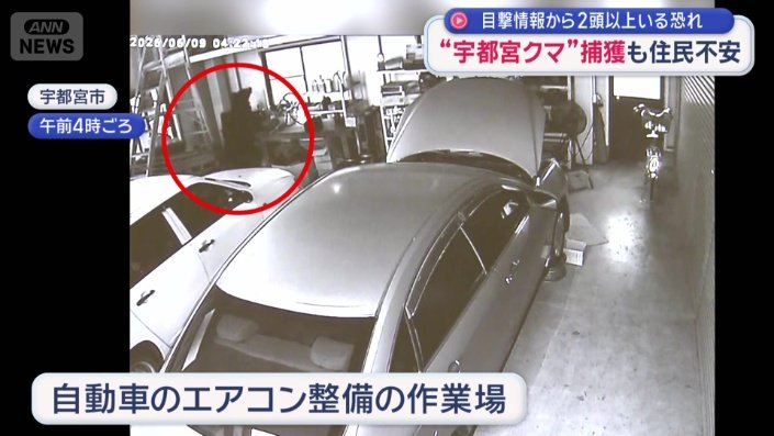 自動車のエアコン整備などを行う作業場にもクマが…