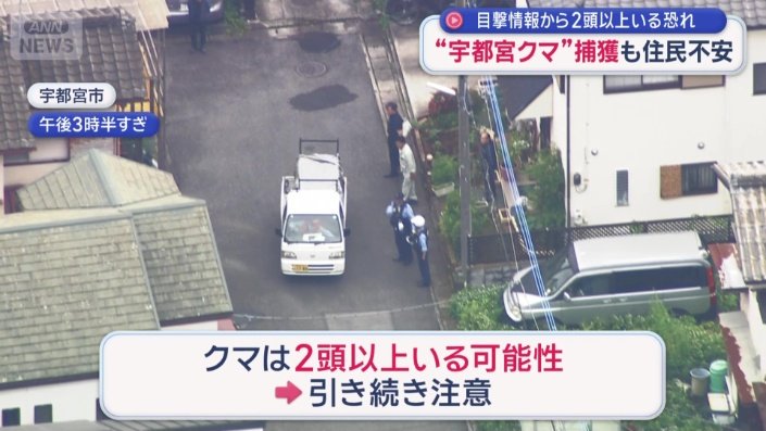 2頭以上いる可能性も