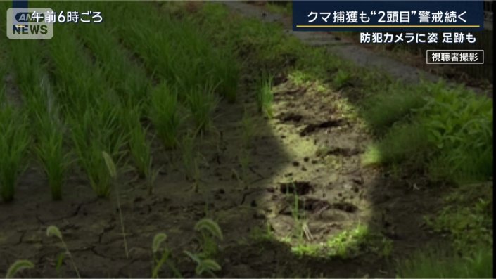 足跡