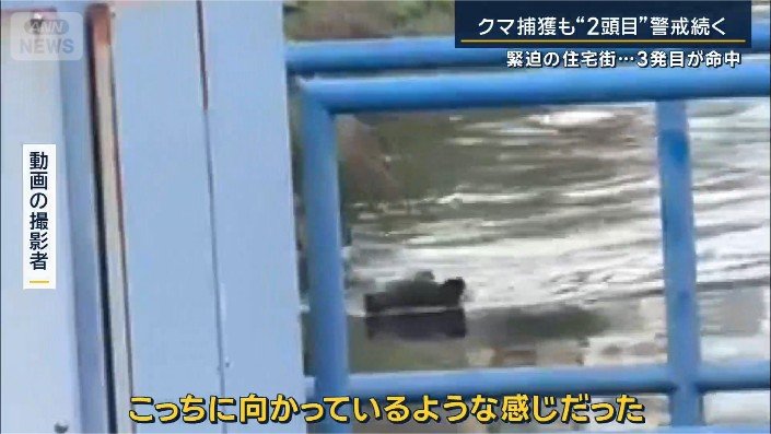 動画の撮影者